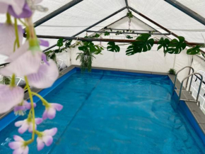 Mini Love Island style guest house includes personal hot 24 hour swimming pool, outdoor bathtub, heated dining dome and fire pit, all this is secretly located in the busy suburbs of Nottingham